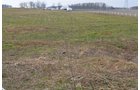 Property photo 52 - 98+/- Acres Offered in 6 Tracts or Combinations, Noble County, Indiana Farm